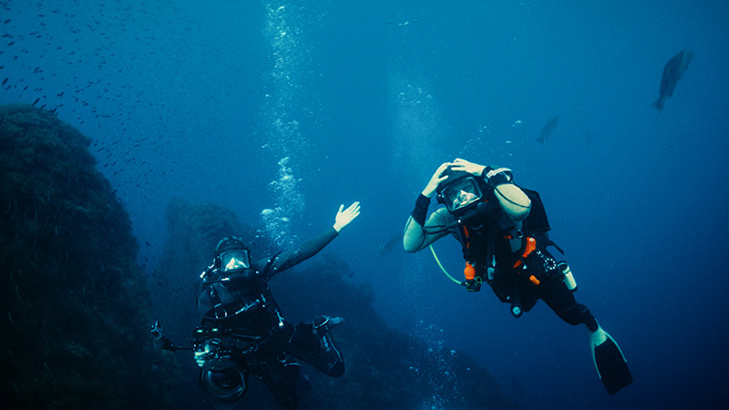 La misión de Wave of Tomorrow